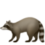 🦝